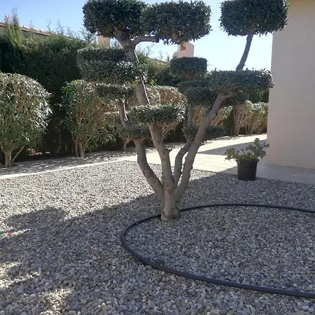 Casa La Rana